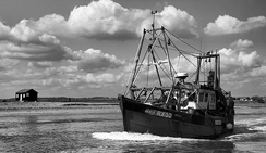 手机版ddos攻击器