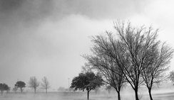 求购ddos网页在线攻击